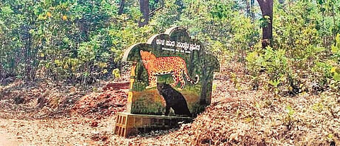 Kali Tiger Reserve
