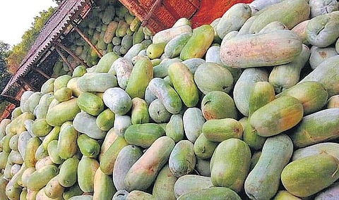 Turning gourd into sweet returns