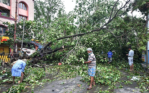 Municipal workers clear a blocked road after a tree uprooted in the aftermath of super cyclone 'Amphan' in Kolkata Thursday May 21 2020. (Photo | PTI)