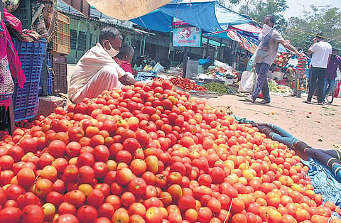 Vendors selling tomatoes. (Photo | Sathya Keerthi)