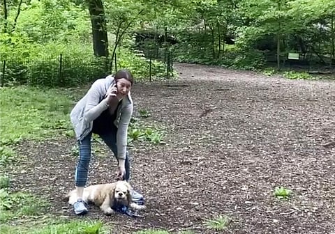 A video of a verbal dispute between Amy Cooper, walking her dog off a leash and Christian Cooper, a black man bird watching in Central Park, is sparking accusations of racism. (Photo | AP)