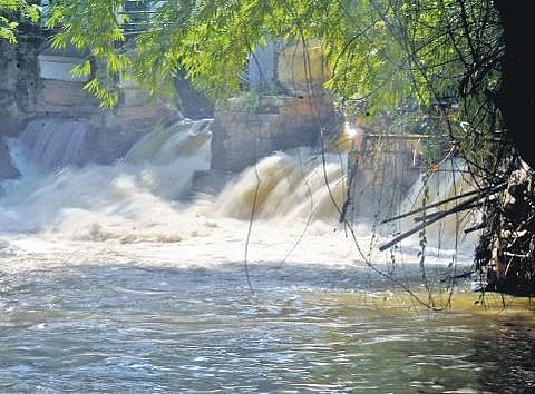 A view of the Killi River at Maruthamkuzhy after incessant rainfall