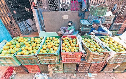 Vendors selling oranges wait for customers at Azadpur market. (Photo | EPS)