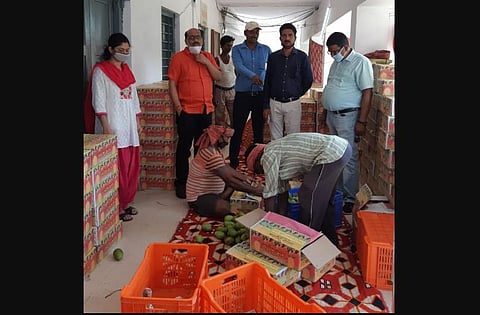 The Jardalu mangoes are procured directly from the mango orchards and put inside the safe gift packets every year, since 2007.