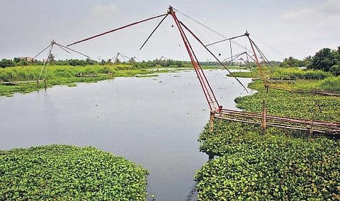 File picture