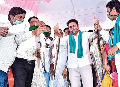 Municipal Administration and Urban Development Minister KT Rama Rao  during the inauguration of an integrated rythu bazaar in Sircilla on Tuesday