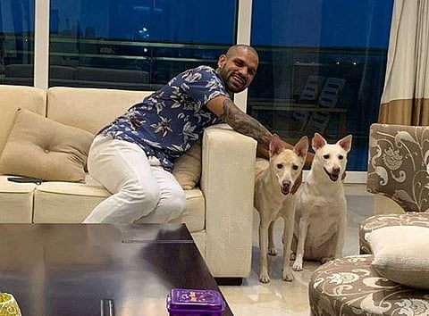 Shikhar Dhawan adopts two dogs. (Photo | Instagram)