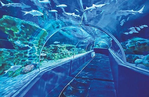 The virtual tour was launched on Zoom on Monday