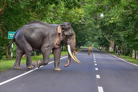 Image used for representation.