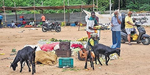 Traders conducting business at the Uzhavar Santhai market in Tiruchy on Friday afternoon |  M K Ashok Kumar