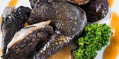 Kadaknath chicken