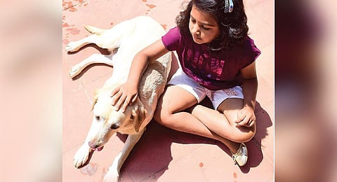 Don’t behave like a beast with animals