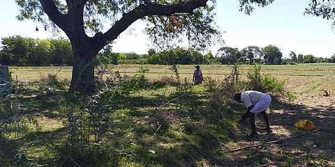Elderly sell neem seeds for a living