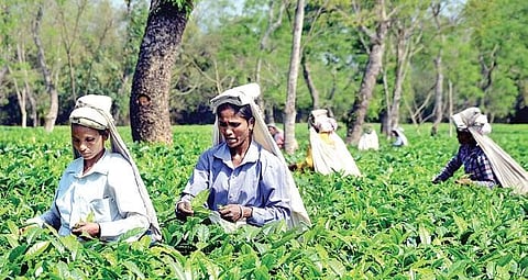 For representational purpose. (File Photo | PTI)