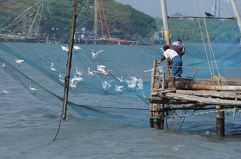 Covid-19 pulls down Fort Kochi’s guards