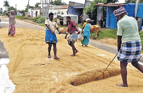 An official release said various steps taken by the State government, including introduction of precision farming and direct sowing techniques, have helped farmers  | S Dinesh