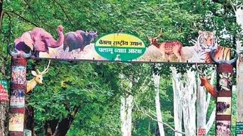 Palamu Tiger Reserve