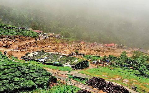 Fire and Rescue Services and NDRF teams conducting a search operation at Pettimudi near Rajamala in Munnar where a landslide killed at least 24 people