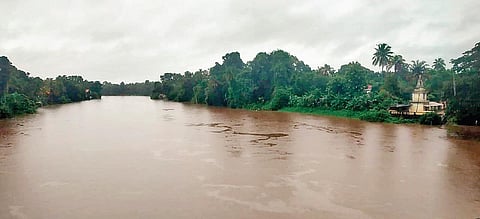 The swollen Chalakudy river at Moozhikulam in Parakkadavu panchayat | express