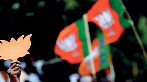 Image of BJP flag used for representational purposes only.