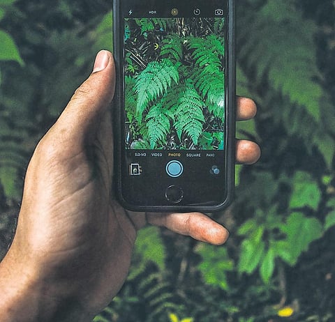 A  growing number of apps are at hand to help us lead more sustainable lives.