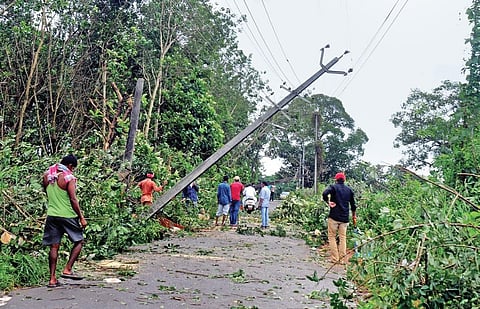 Local residents with the help of  a few migrant workers clearing the uprooted trees from a road in teh village I A Sanesh