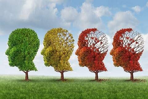 Alzheimer's disease