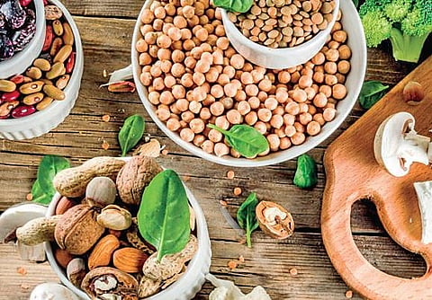 Poultry, meat, nuts.