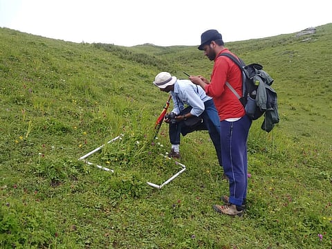 Surveyor Geotagging in Uttarakhand meadows. (Photo | Express)