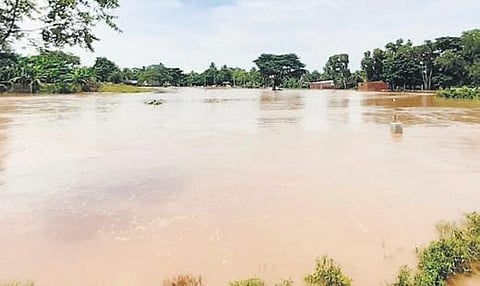 ​​A fish pond resembles a river due to flood in a village in Kendrapara | Express