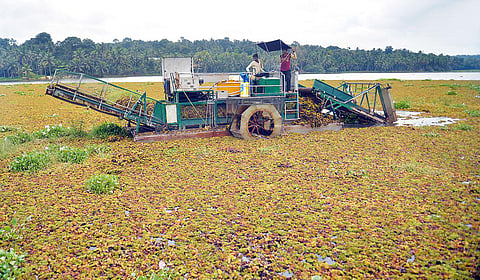 A mechanised weed harvester in action at the  Vellayani Lake, which was done as part of phase I of the Revive Vellayani initiative. (Photo | Vincent Pulickal, EPS)