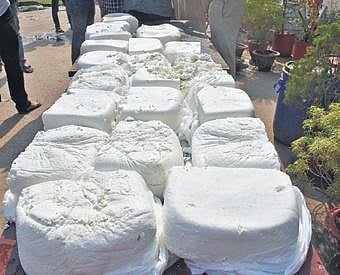 Seized of hazardous chemicals-laced spurious paneer in Cuttack.