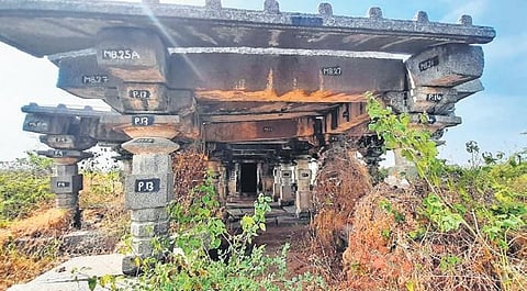 Wild vegetation sprouts from various parts of the 900-year-old Ekaveera Devi temple at Mogilicherla village in Geesugonda mandal, Warangal district.