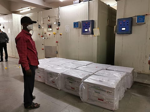 These vials will be transported to various Regional Vaccine Centres from Tuesday evening onwards (Photo | Express)