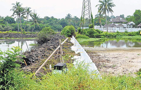 (For representational places) The access road built by encroaching on the wetlands at Mulavukad  panchayat | Express