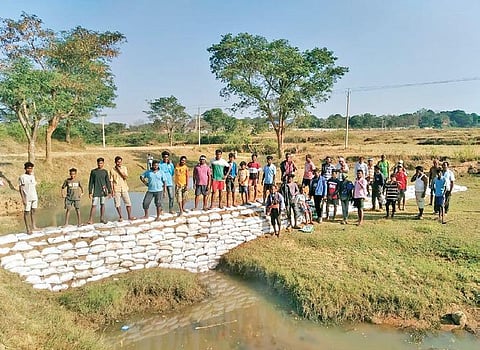 From paddy, wheat, mustard to sweet corn, watermelon and various other vegetables and fruits began to flourish in their fields with the help of  bori bandhs (low cost check dams). (Photo | EPS)
