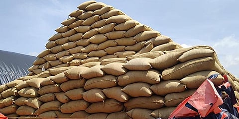 Bags of paddy piled up at a storage facility. (Photo | EPS)
