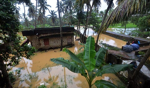 Several houses and hundreds of acres of farm land were inundated during heavy rains at Arattukadavu in Vellayani on Saturday. (Photo | EPS/Vincent Pulickal)