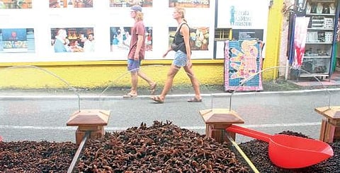 Black pepper with star aniseed and cloves at a spice shop in Jew Town in Kerala (Photo | Melton Antony)