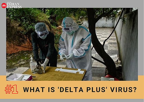 WHAT IS 'DELTA PLUS' VIRUS?: The AY4.2 is a relative of coronavirus delta variant -- identified by British scientists in September, 2021.