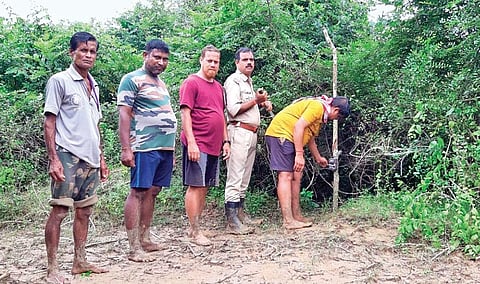 Camera traps being installed in Bhitarkanika National Park  | Express