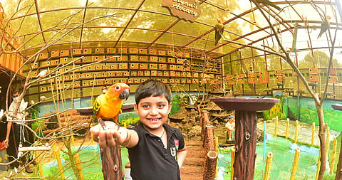Seven-year-old Aryan at his father's aviary at their Kannur home. (Photo | Express)