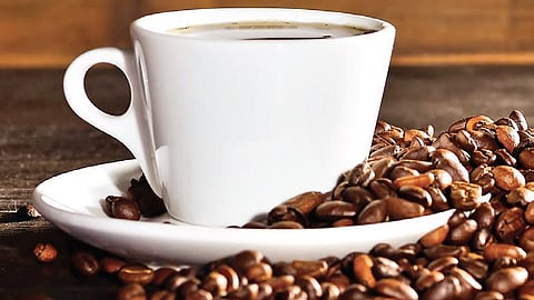Scorching heat and scarce rains threaten coffee production in Kerala