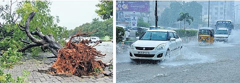 A huge tree got uprooted in Tirupati on Thursday due to high velocity winds (right) Vehicles wade through a flooded road | Madhav K