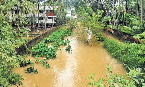 Rampant encroachment along Thettiyar Thodu is cited the primary reason for flooding in the adjoining areas | B P Deepu