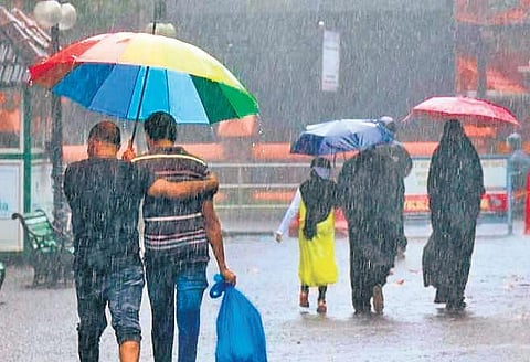 Kerala receives record rainfall in century