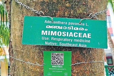 A QR code tagged tree on the Legislative Assembly campus