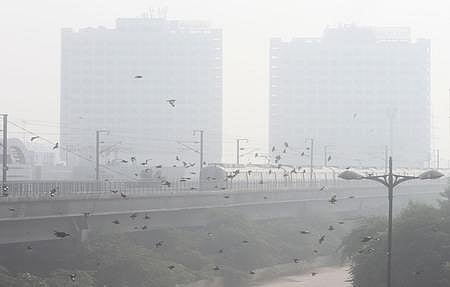 Representational Image. (Photo | EPS)