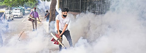 A North Delhi MCD worker  carries out fumigation as preventive measure  against vector-borne diseases  of dengue, malaria and  chikungunya. (Photo | Parveen Negi, EPS)