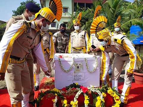 The last rite ceremony of dog Lina was carried out as per procedure at the unit line of ASG Mangalore.